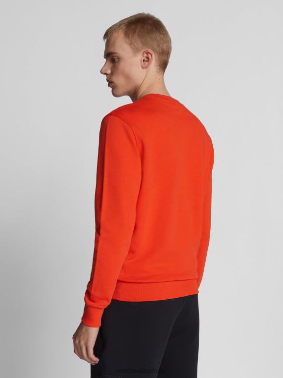 дуксерица са макси логом јастог одећу мушкарци PDV4J1226 North Sails